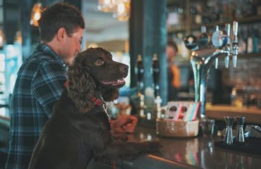 dog friendly pubs