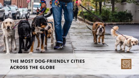 The Most Dog-Friendly Cities Across The Globe